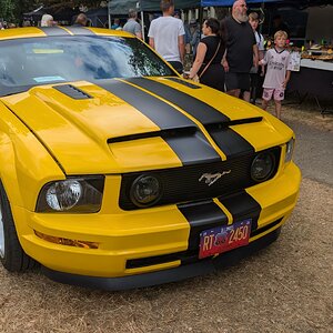 Worhing_Sunny_Sunday_2026_103.jpg