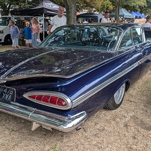 Worhing_Sunny_Sunday_2026_042.jpg