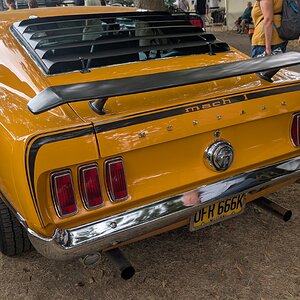 Worhing_Sunny_Sunday_2026_027.jpg
