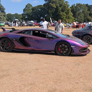 Canford_2026_609.jpg
