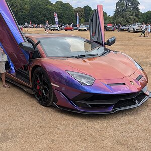Canford_2026_598.jpg