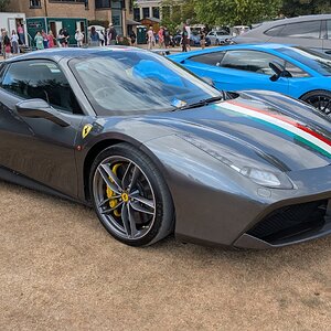 Canford_2026_584.jpg
