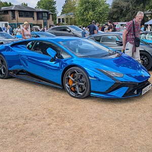 Canford_2026_571.jpg