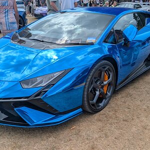 Canford_2026_569.jpg