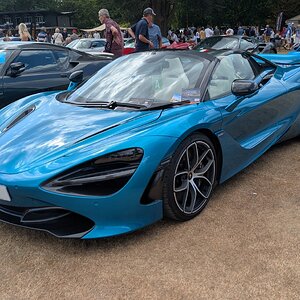 Canford_2026_567.jpg