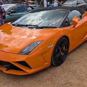 Canford_2026_565.jpg
