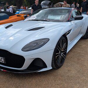 Canford_2026_564.jpg