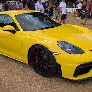 Canford_2026_560.jpg