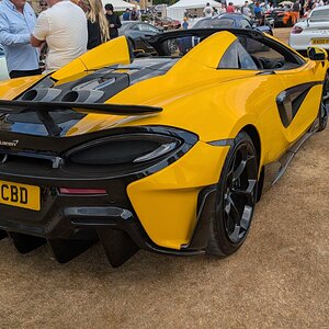 Canford_2026_557.jpg