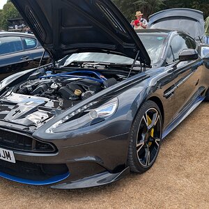 Canford_2026_554.jpg