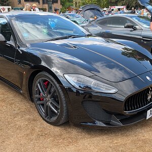 Canford_2026_552.jpg