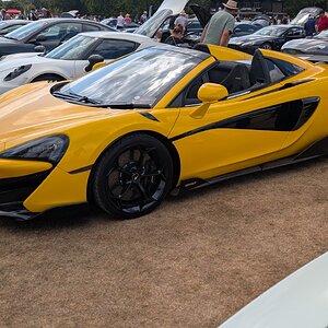 Canford_2026_537.jpg