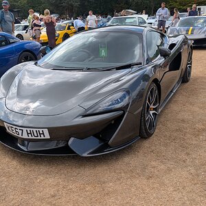 Canford_2026_531.jpg