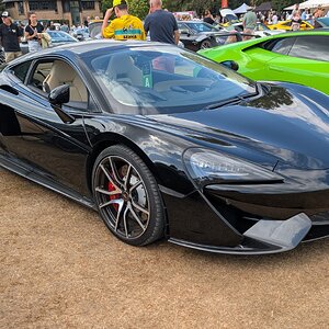 Canford_2026_524.jpg