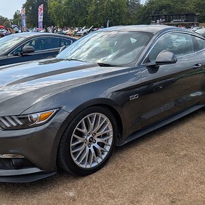 Canford_2026_519.jpg
