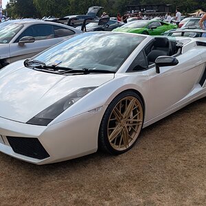 Canford_2026_515.jpg