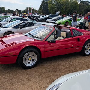 Canford_2026_514.jpg