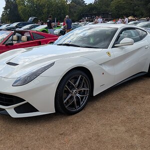 Canford_2026_513.jpg