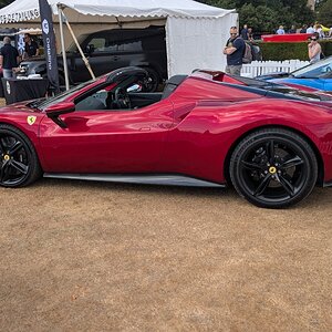 Canford_2026_510.jpg