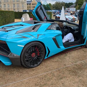 Canford_2026_506.jpg
