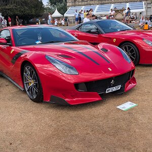 Canford_2026_500.jpg