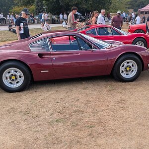 Canford_2026_492.jpg