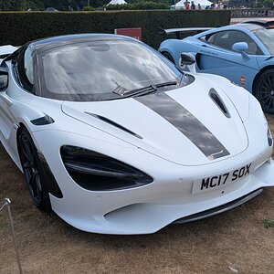 Canford_2026_486.jpg