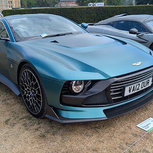 Canford_2026_483.jpg