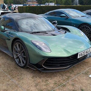 Canford_2026_482.jpg