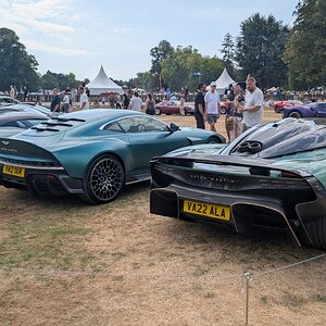 Canford_2026_481.jpg