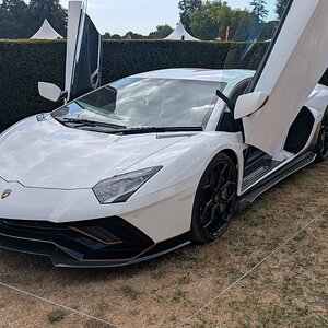 Canford_2026_479.jpg