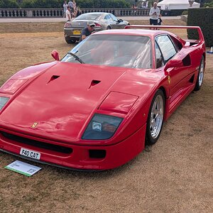 Canford_2026_453.jpg