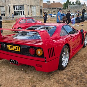 Canford_2026_431.jpg
