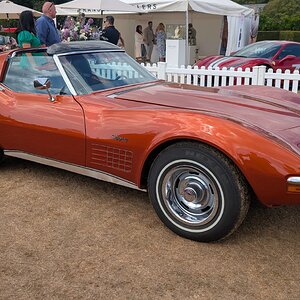 Canford_2026_426.jpg