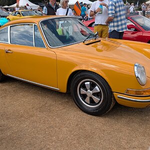 Canford_2026_421.jpg