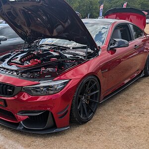 Canford_2026_412.jpg