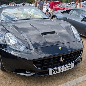 Canford_2026_411.jpg