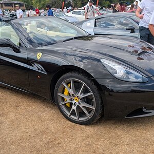 Canford_2026_409.jpg