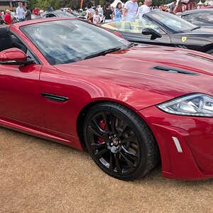 Canford_2026_408.jpg