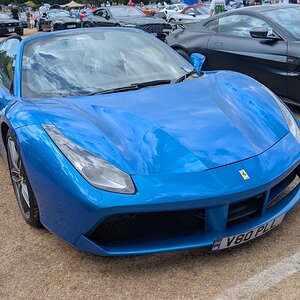 Canford_2026_395.jpg