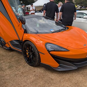 Canford_2026_389.jpg