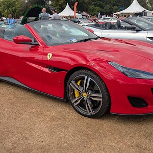 Canford_2026_381.jpg