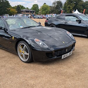 Canford_2026_371.jpg
