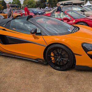 Canford_2026_368.jpg