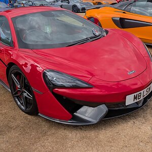 Canford_2026_367.jpg