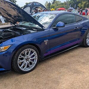 Canford_2026_362.jpg