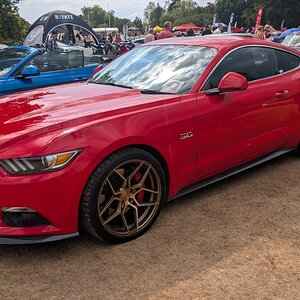 Canford_2026_360.jpg