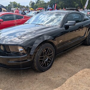 Canford_2026_359.jpg