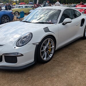 Canford_2026_356.jpg