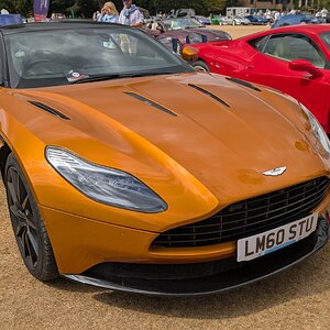 Canford_2026_350.jpg